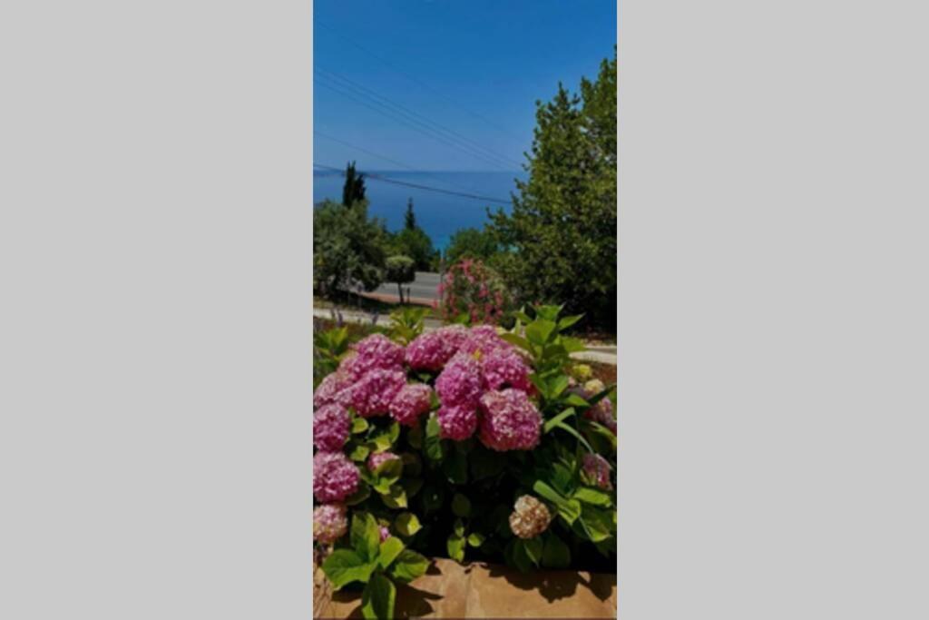 Villa Pergola -Apartment Roko มลินี ภายนอก รูปภาพ